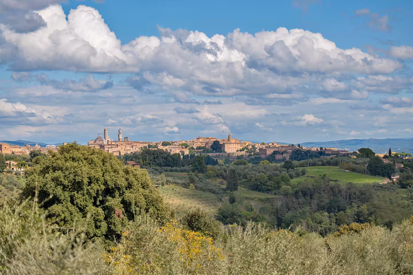 Il profilo di Siena all'orizzonte, con Duomo e Torre del Mangia